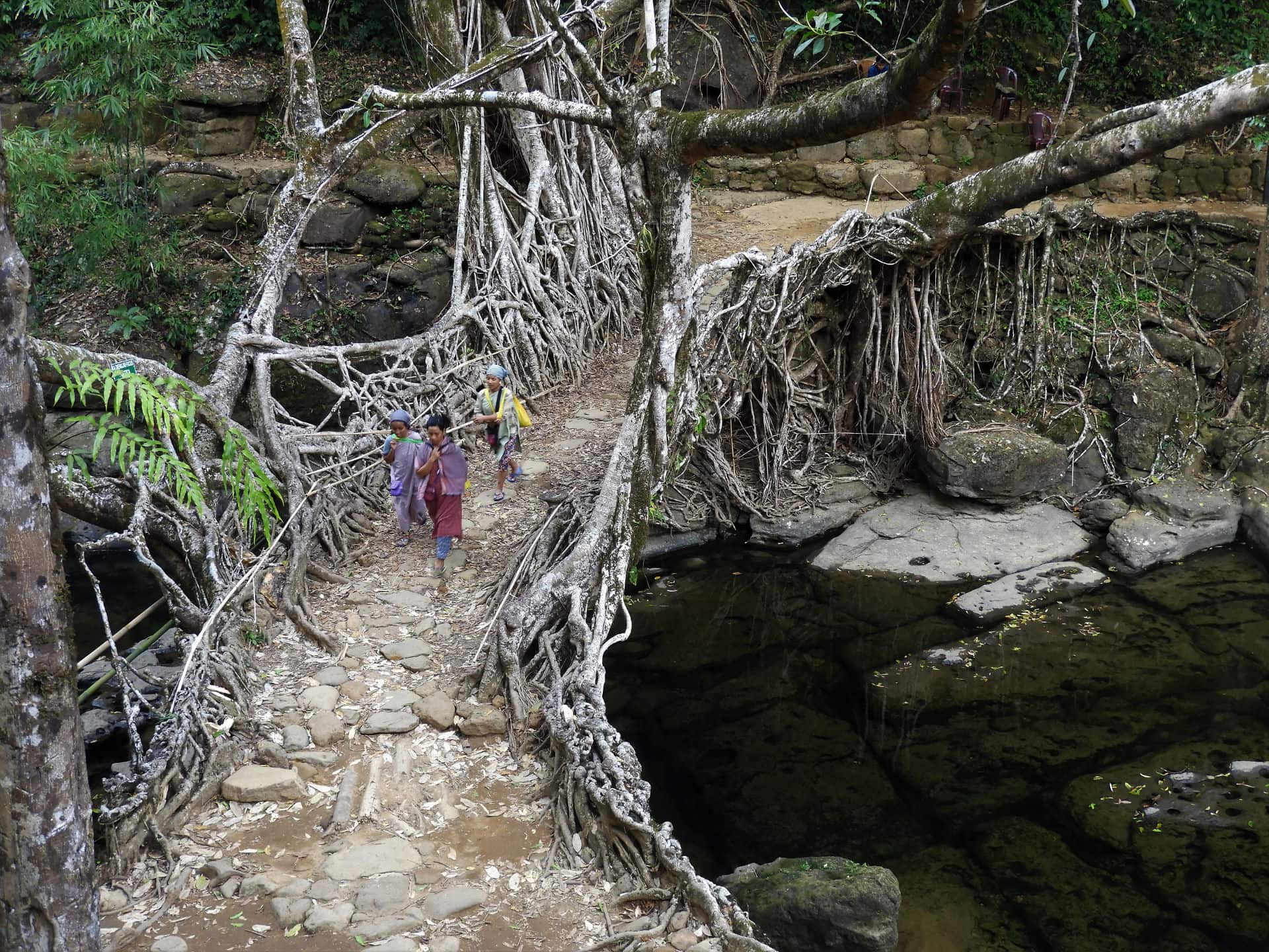 Meghalaya : Visitez Mawlynnong, le village le plus propre d’Inde