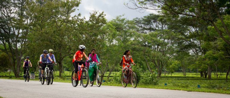 Tour de vélo au Parc National de Kaziranga